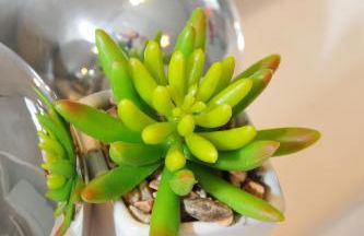 UrbanLiving-Regensburg, voll ausgestattetes Apartment für bis zu 3 Personen - Foto 21