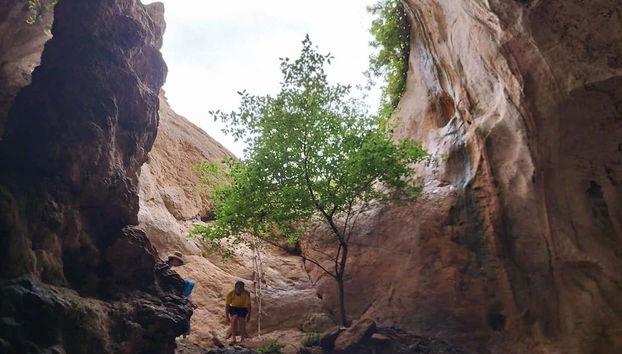 Entrée de la grotte de Khao Khanab Nam
