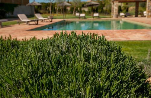 Mas Vermell - Foto 31