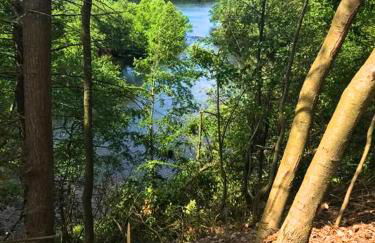 Rare River Views & Access, Cabin by Eden Islands - Foto 41