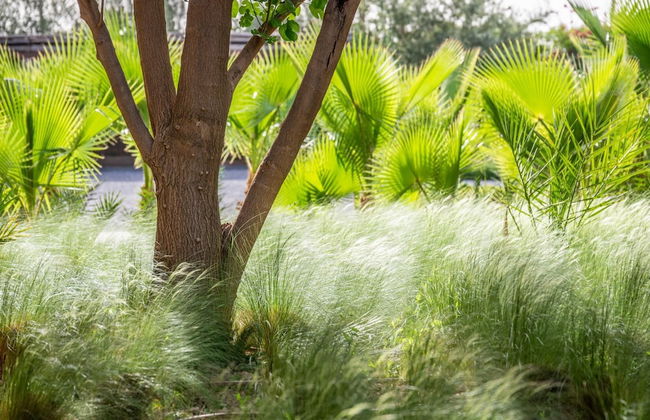 Villa Marhba - Design Villa With Private Pool - Foto 36