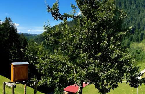 Holderstanzenhof - Foto 13