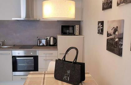 VILLA BERGAUF, Studio Apartment König Ludwig II Kini INKL KÖNIGSCARD !! - Foto 7