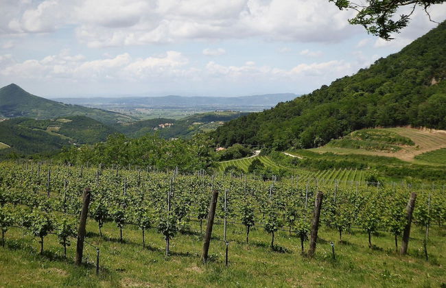 Belvilla by OYO Ca' Landrini - Foto 27