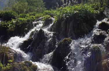 Apartments The Old Well - Foto 34