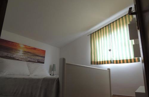 Apartments Brkanac - Foto 28