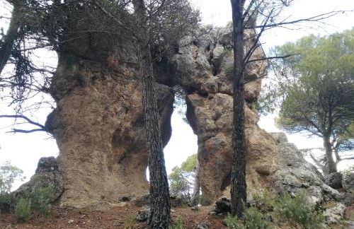 FINCA Del VALLE VTAR - Foto 50