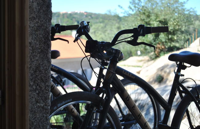 I Love Dão - Casas Da Fraga - Foto 25