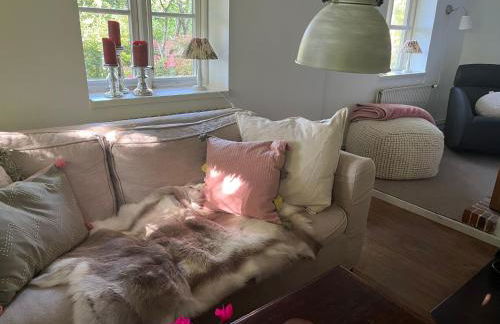 Modellregion- Krümelkate Eiderstedt - Foto 20