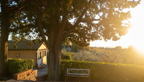 Villa Blick - Foto 4, Garden, Garden view