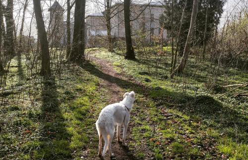 Pałac Paprotno - Foto 4