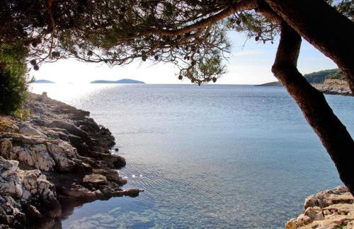 Apartments Iva - Foto 11