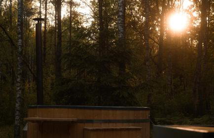 Biały Las Magiczna Stara Chata Puszcza Białowieska - Foto 46