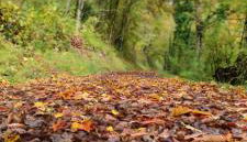 Ferienwohnung 29 - Foto 5