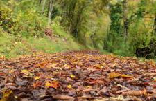 Ferienwohnung 29 - Foto 5