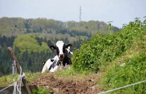 Bushof - Leben auf dem Land - Foto 2