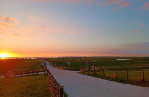 Apart-Lachmoewe-im-Moewennest-Tossens - Foto 25