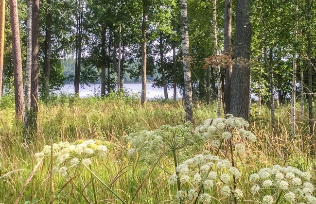 Annelinniemi - Foto 39