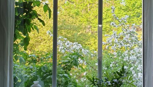 Ferienwohnung Heusler - Foto 4