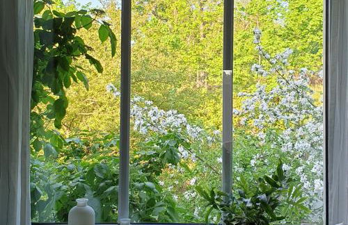 Ferienwohnung Heusler - Foto 4