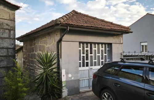 Agra Pet Studio I - Foto 1