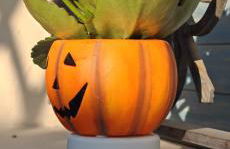 La Corte di Cris - Foto 25