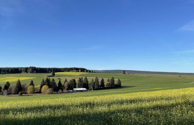 Schwarzwald - Foto 44