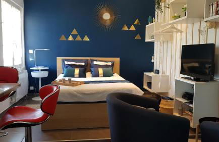 Studio Bleu - Parc Astérix - Mer de Sable - Villepinte - Aéroport CDG - Foto 23