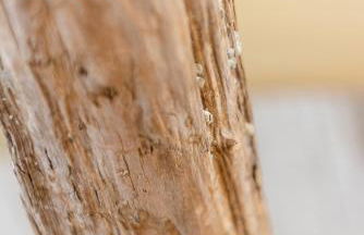 Ferienwohnung Inselblick - Foto 21