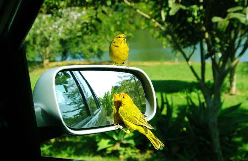 Hotel Fazenda Areia que Canta - Foto 38