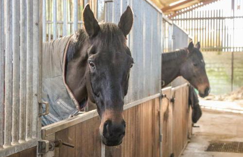 The Cottage - Foto 23