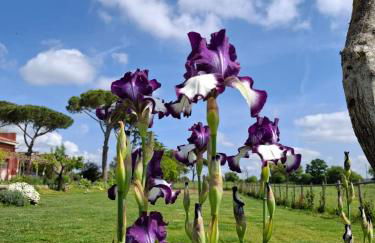 La Foresteria di Podere Muracciolo - Foto 14