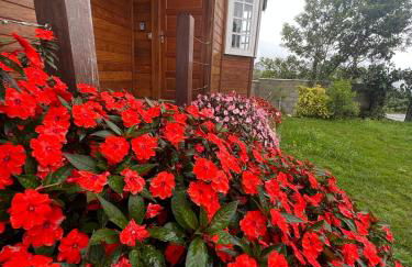 Casa de madeira em Lavras Novas - Photo 5