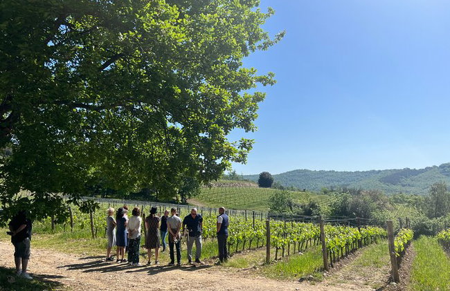Lucques et Toscane Vineries de La Spezia Port - Photo 8