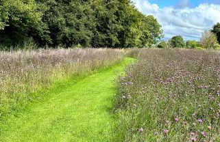 Pencastell Views Pod With Stunning Views - Foto 6