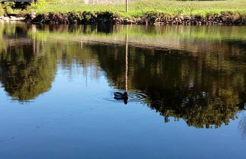 Casa do Largo do Cruzeiro - Foto 52