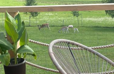 Domek Kołodziejowo z jacuzzi Góry Sowie Góry Stołowe - Foto 28