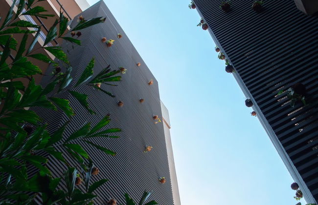 Start Villa Morra Rent Apartments - Photo 74