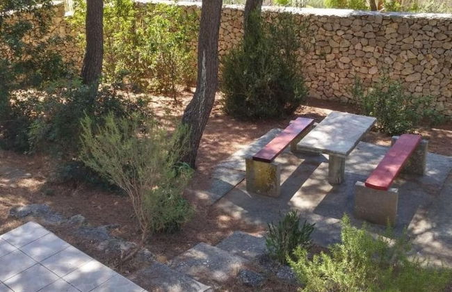 Eli - for Nature Lovers - A1 - Foto 12