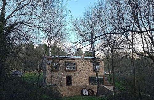 Molino Mellado - Foto 45