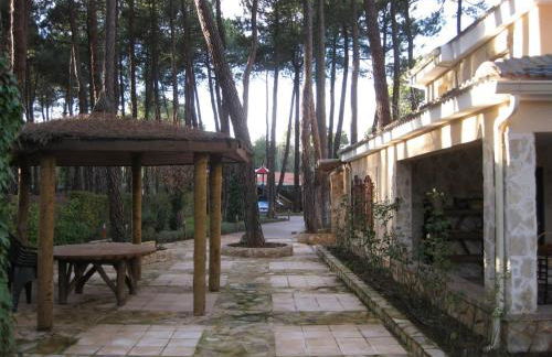 El Chalet del Pinar - Foto 50