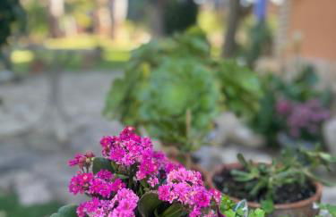 Casa Rural Entre Dos Aguas - Photo 3