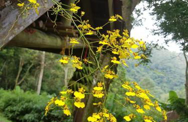 Cabana no Itaimbezinho - Foto 29