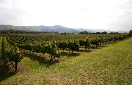 Villa Il Cigno - Photo 18