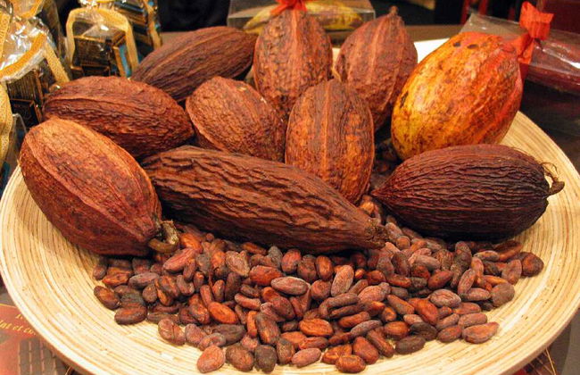 Gourmet Chocolates Experience - Foto 2