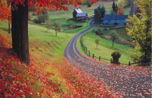 Sweet Escape, 2BR apt in BEACH community, Only 1 hr to NYC! - Foto 10