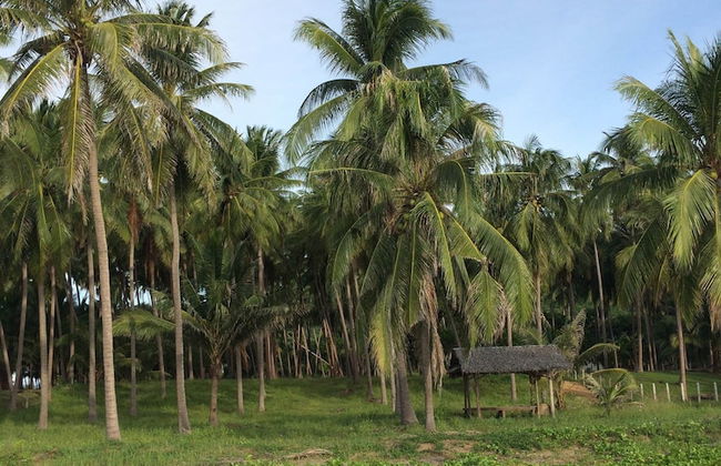 155 SalaCoco - Foto 59