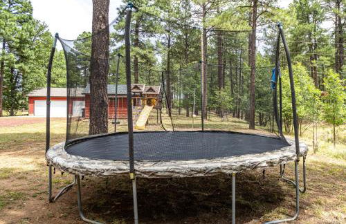 The Lodge Large Cabin, 17 Acres, Playground, Forest Access - Foto 50