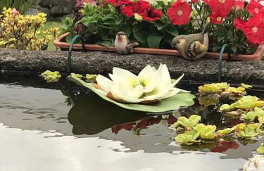 Charming green country house - Photo 27