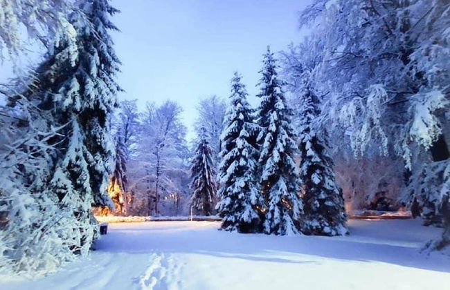 Holiday Home Snow Hill - Foto 17